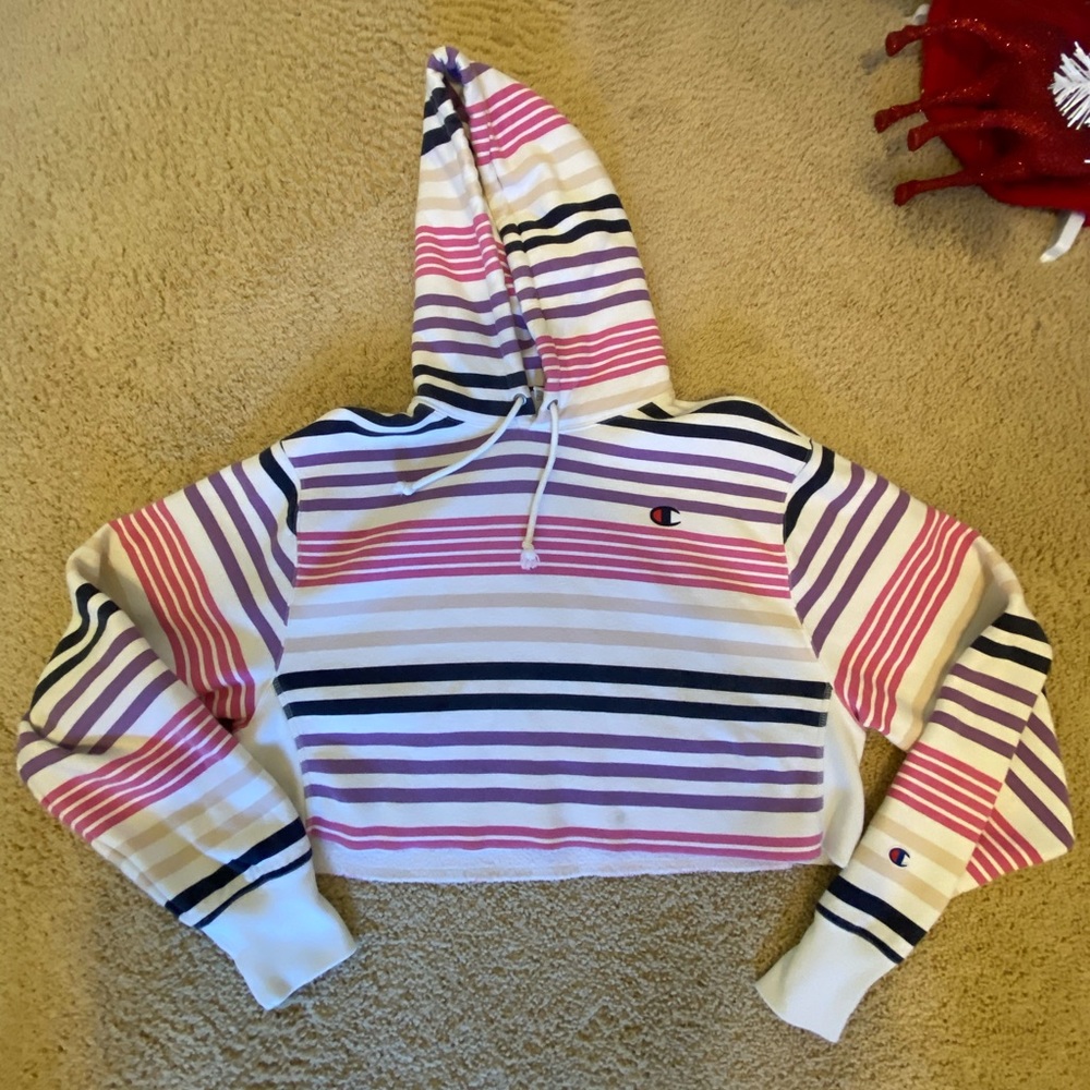 Champion Urban Outfitters Striped Sweatshirt